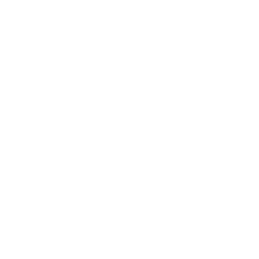 Coeur icon